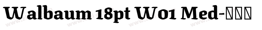 Walbaum 18pt W01 Med字体转换